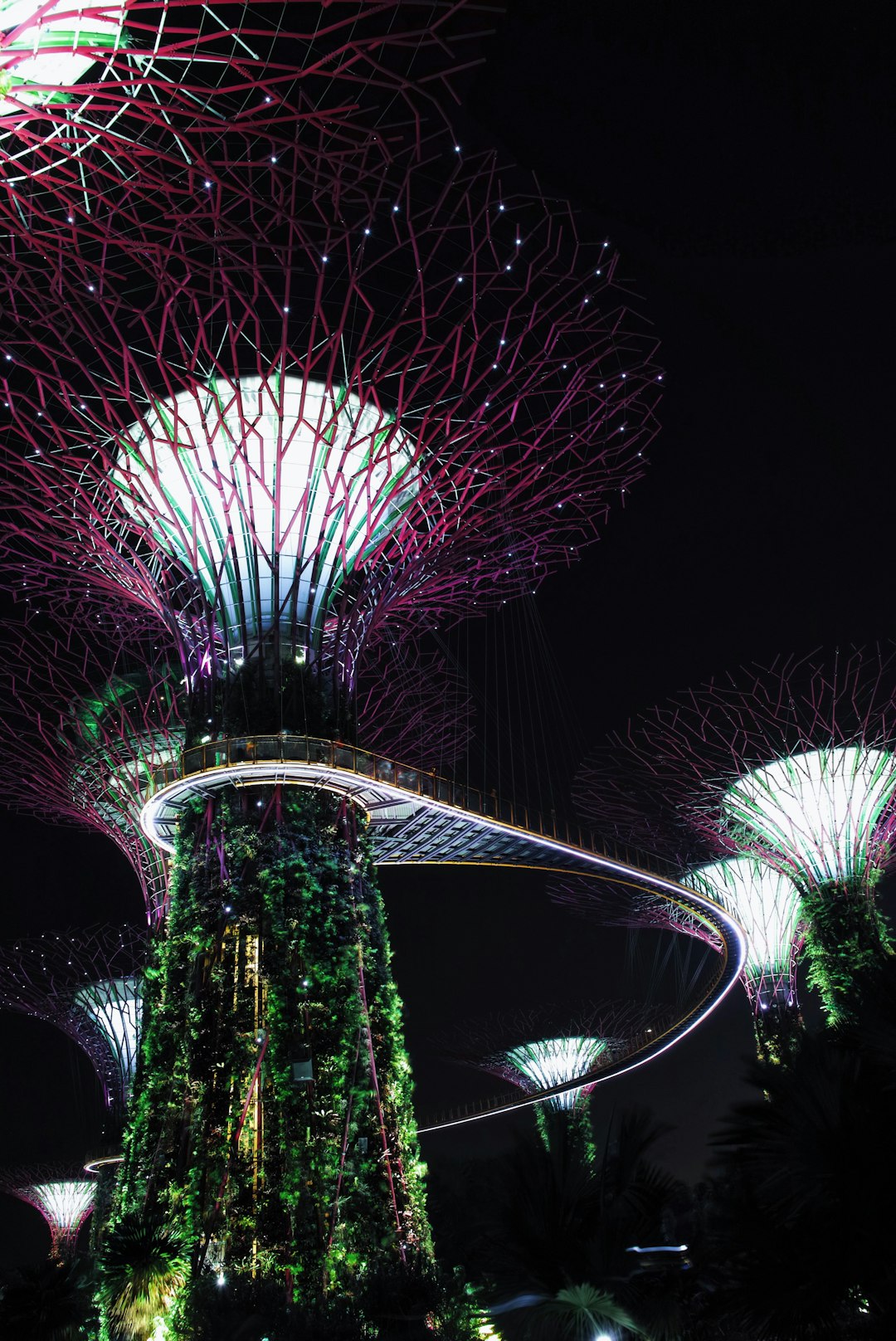 Unlocking the Best Promotions in Singapore